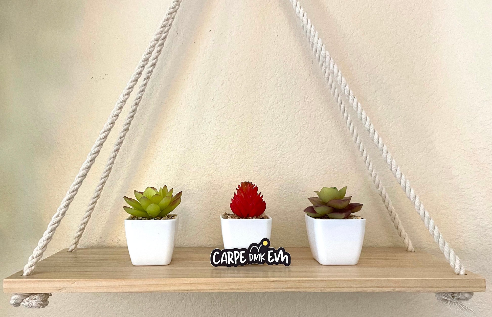 Carpe Dink-Em Die-cut Pickleball Sticker | Punny Vinyl Pickleball Stickers | Waterproof Adhesive Pickleball Sticker | Best Pickleball Gifts