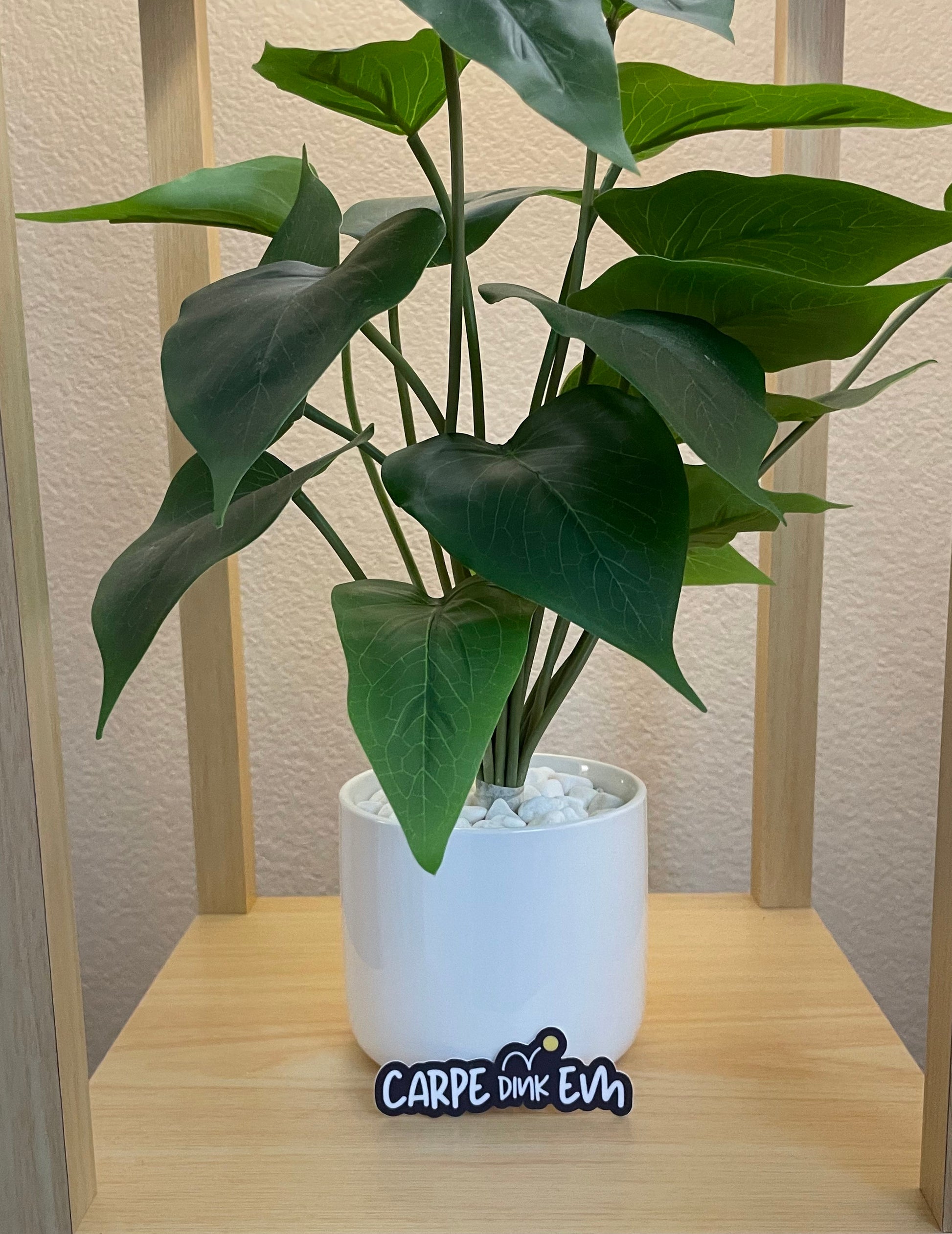 Carpe Dink-Em Die-cut Pickleball Sticker | Punny Vinyl Pickleball Stickers | Waterproof Adhesive Pickleball Sticker | Best Pickleball Gifts